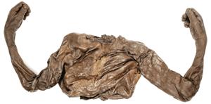 Irish Bog Bodies Irish Bog Bodies