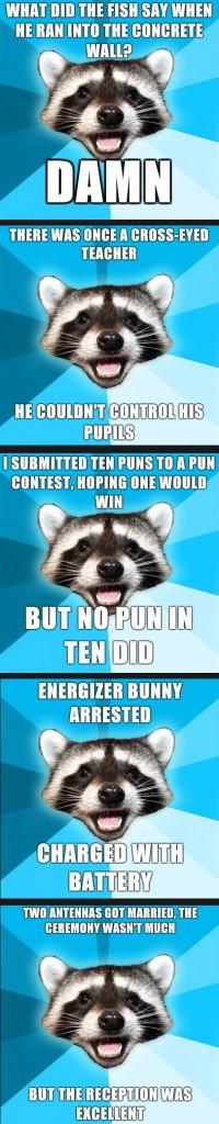 Bad Pun Raccoon Meme