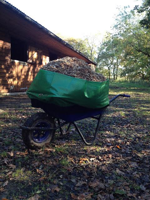 Product review: GreanBase Wheelbarrow Booster