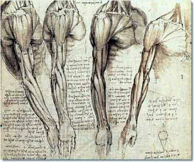 Leonardo sudy anatomy Original Painting: Learn to paint like a master artist