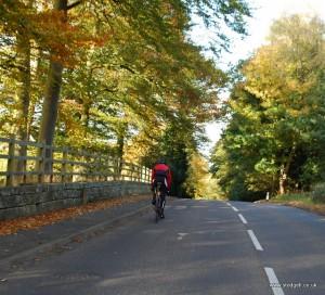 Rise and rise of Cannock Chase roadbiking!