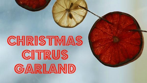 Christmas Citrus Garland