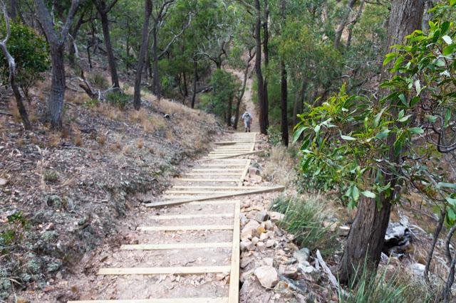 stairs near ironbark gorge