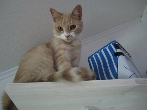 You must be sick sometimes to feel good about being well 73921_468237532070_2964990_n