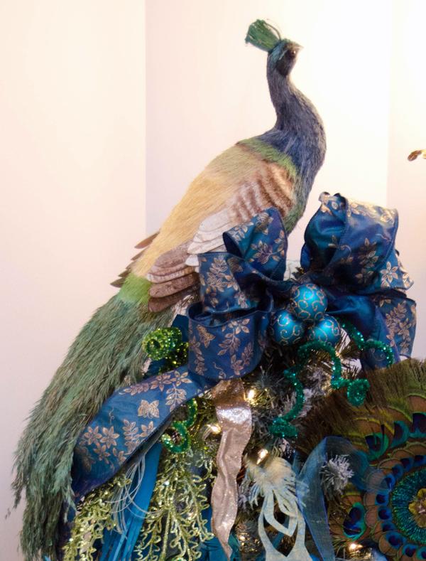 YES Spaces peacock close up YES Spaces peacock close up Create a Peacock Tree with Paper Feathers