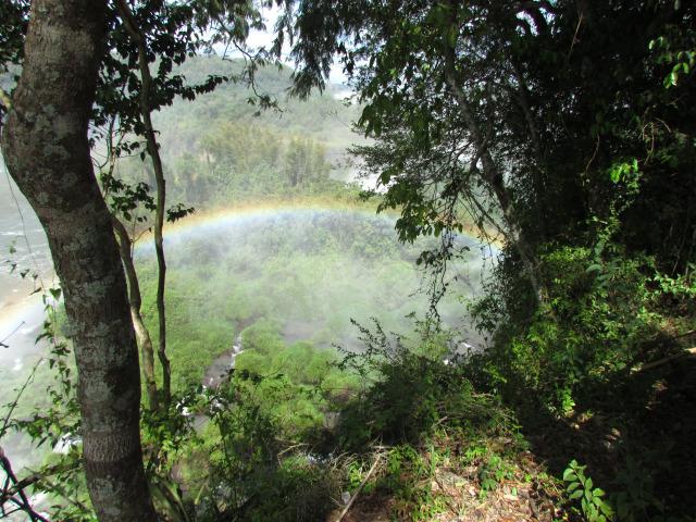 Postcards from Iguazu