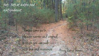 Life Lessons Crooked Path: Looking Behind, Looking Forward & Loving It All (with an assist from Thoreau and Rumi)