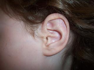 Ear Lobes