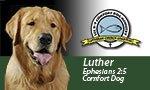 Where are their comfort dogs? comfortdog
