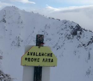 Avalanche Prone Area