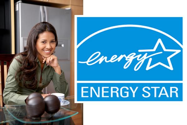 Get yourself an Energy Star Fridge and save big bucks