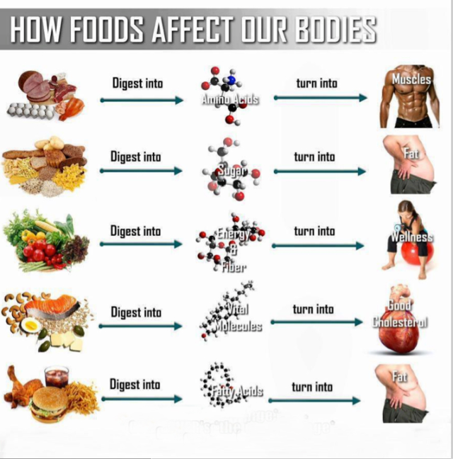 How foods affects our bodies