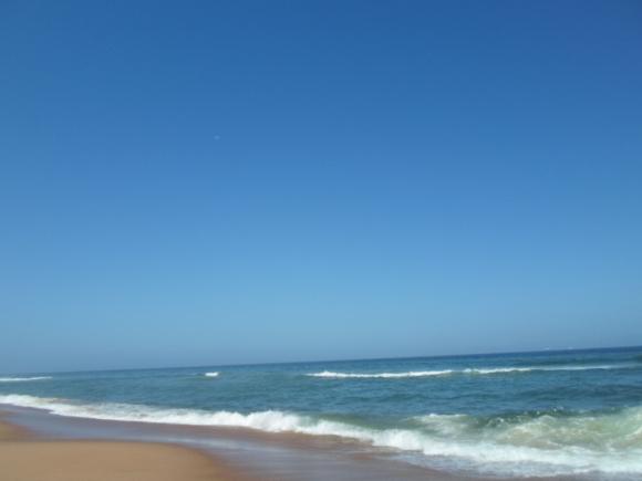 an instant of life captured for eternity Image