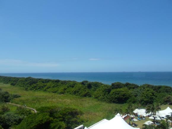 an instant of life captured for eternity Image