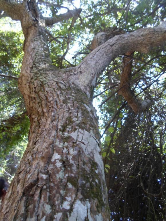 an instant of life captured for eternity Image