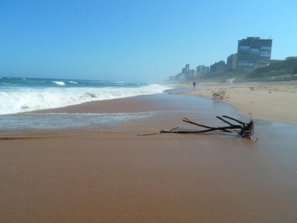 an instant of life captured for eternity Image