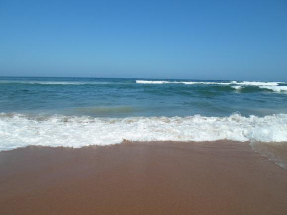 an instant of life captured for eternity Image