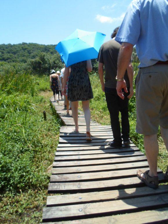 an instant of life captured for eternity Image