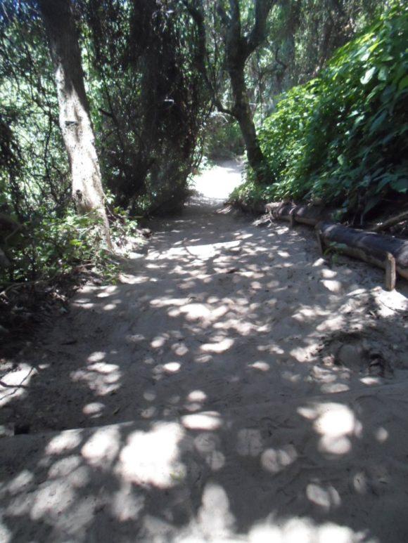 an instant of life captured for eternity Image