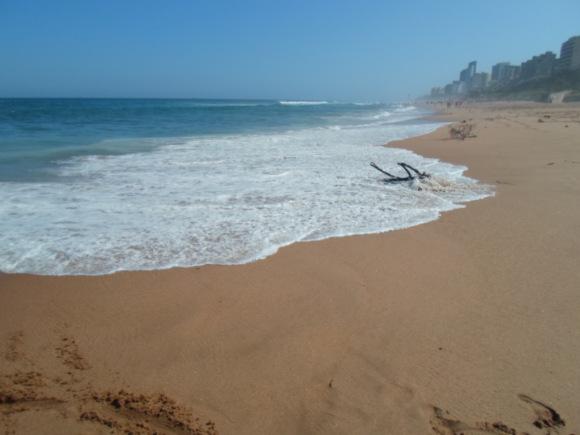 an instant of life captured for eternity Image