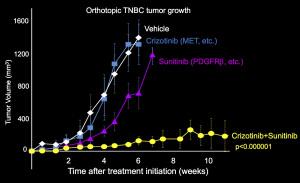Figure 2: Tumor growth rate in mice treated with crizotinib and/or sunitinib