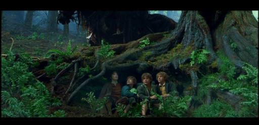 Lord of the Rings First Shot
