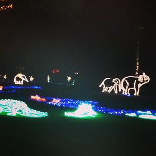 Zoo Lights 2012
