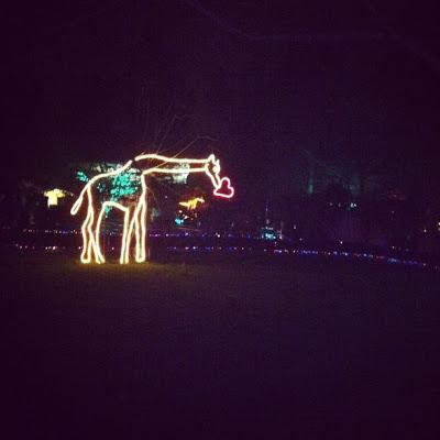Zoo Lights 2012