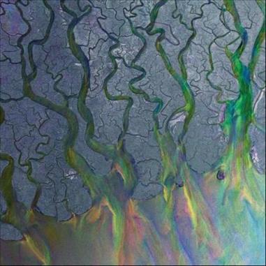 Best Releases of 2012 Alt-j - An Awesome Wave