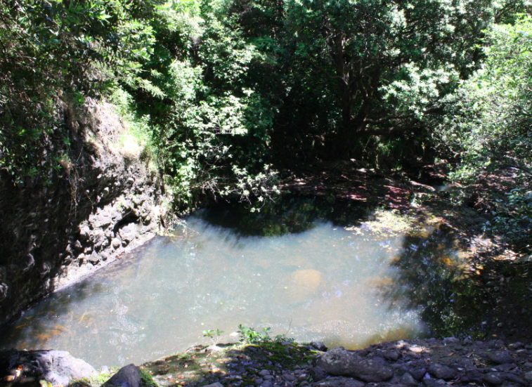 karekare water hole swimming west auckland