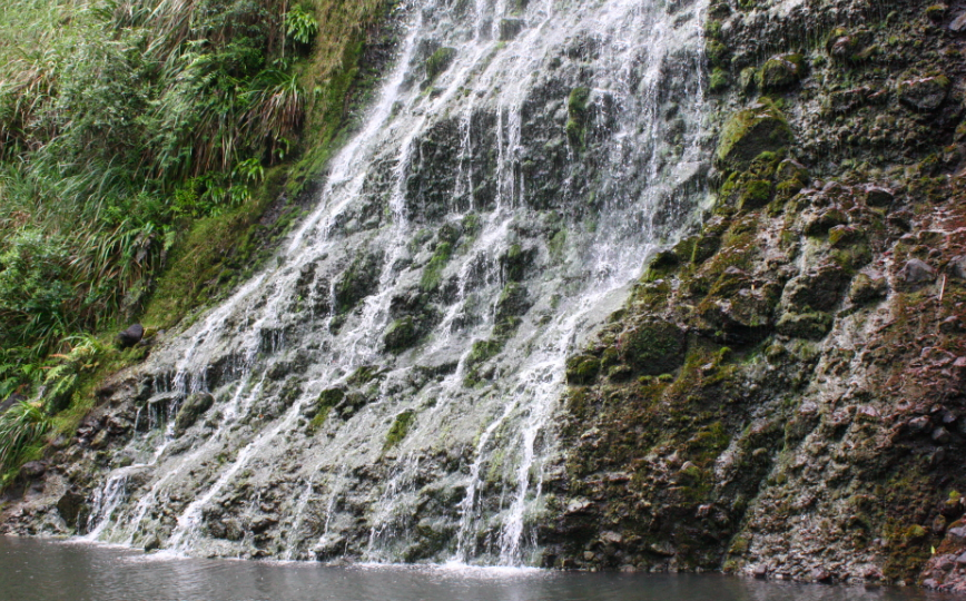 karekare waterfall in west auckland bush