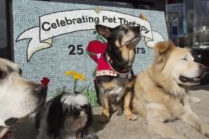 Therapy dog program celebrates 25 years