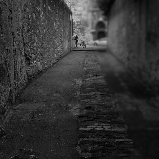 © Silvia Lombardo © Silvia Lombardo