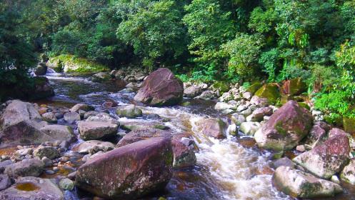 Morretes, Brazil 100_1366