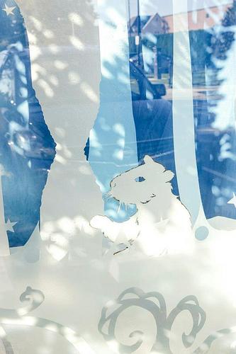 anthropologie-windows-wayne-pa-holidays-2012 anthropologie-windows-wayne-pa-holidays-2012