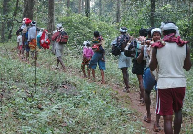 A group of Sabarimala-bound pilgrims move through the Karimala forests on Wednesday. Photo: Leju Kamal