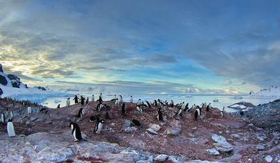 Bucket list - Antarctica Picture