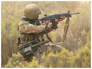 Enter South African National Defence Force... where François Hollande mocked Africa!
