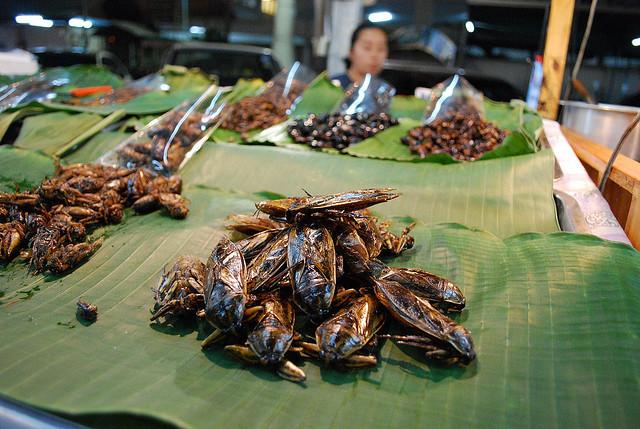 The weird and wacky food cuisines from around the globe