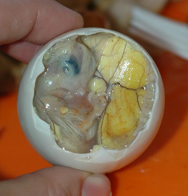 The weird and wacky food cuisines from around the globe