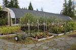 store more fruit trees