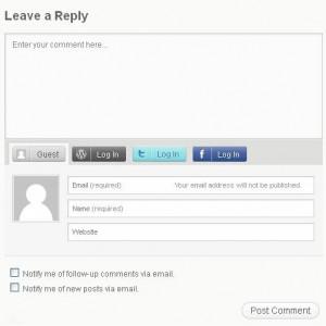 Wordpress New Comment Box