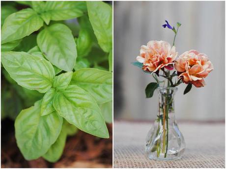 Homegrown from garden to table.