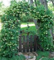 Green Gates and The Green Man Green Gates and The Green Man