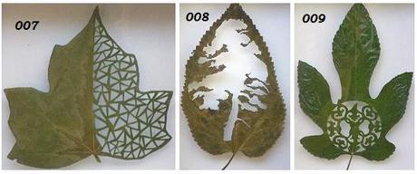Amazing Leaf Art By Lorenzo Duran 9