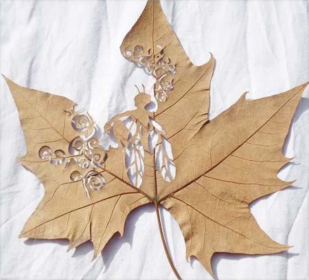 Amazing Leaf Art By Lorenzo Duran 6