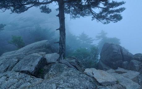 Incredible Nature Photography by Yevgen Timashov Incredible Nature Photography by Yevgen Timashov 2