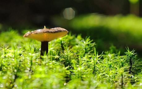 Incredible Nature Photography by Yevgen Timashov Incredible Nature Photography by Yevgen Timashov 7