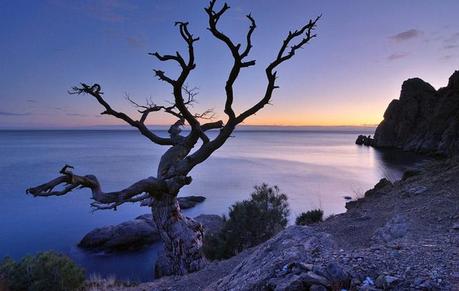 Incredible Nature Photography by Yevgen Timashov Incredible Nature Photography by Yevgen Timashov 11