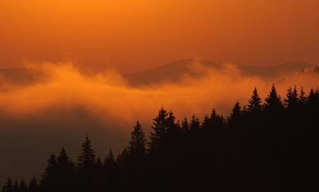 Incredible Nature Photography by Yevgen Timashov Incredible Nature Photography by Yevgen Timashov 13